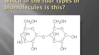 How to identify biomolecules structurally [upl. by Eads383]