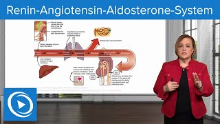 ReninAngiotensinAldosteroneSystem RAAS – Pharmacology  Lecturio [upl. by Okir]