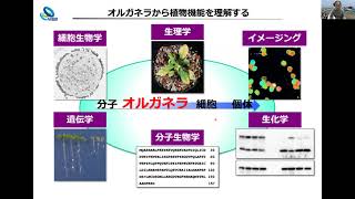 オルガネラ制御研究室 研究室紹介（基礎生物学研究所 大学院説明会） [upl. by Ettelrats]