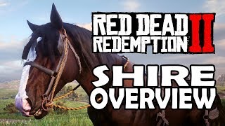 Red Dead Redemption 2 Horses  Shire Overview [upl. by Malorie462]