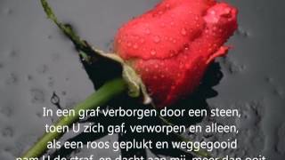 Lied Meer dan rijkdom met tekst [upl. by Andre]