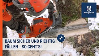 Baumfällung Sicher und richtig fällen HowTo  Husqvarna Forst [upl. by Awuhsoj]