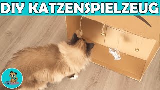 Katzenspielzeug selber basteln  Günstige Bastelideen DIY ✅ [upl. by Lamraj810]