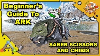 How to Get Started in ARK  A Beginners Guide  Sabers And Chibis  Ark Survival Evolved S4E16 [upl. by Ylatfen]