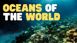 Oceans of the World for Kids  Learn all about the 5 Oceans of the Earth [upl. by Ardie216]