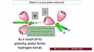 Biochemistry Water PH and Buffers Part 1 tutorial [upl. by Meelak]