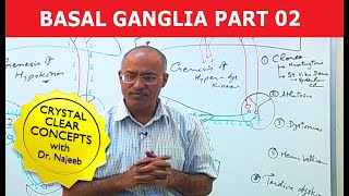 Basal Ganglia  Neuroanatomy  Part 23 [upl. by Nekciv]