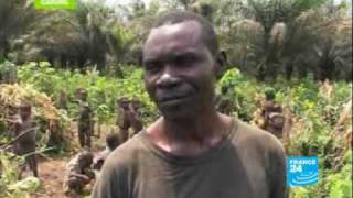 Pygmies endangered people [upl. by Aurie156]