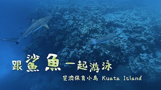 【鏡食旅】跟鯊魚一起游泳 斐濟保育小島Kuata Island｜鏡週刊 [upl. by Nollad]