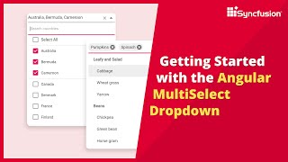 Getting Started with the Angular MultiSelect Dropdown [upl. by Savage110]