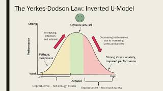 Arousal and task performance [upl. by Airtened]