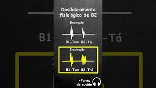 desdobramento fisiologico da segunda bulha shorts [upl. by Yoj]