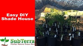 Quick Easy and Inexpensive DIY Shade House for Plants [upl. by Zzahc]