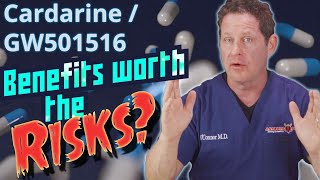 Cardarine  GW501516  Benefits Worth the Risks  Doctors Analysis [upl. by Oreves]