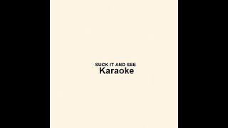 Arctic Monkeys  Piledriver Waltz Karaoke [upl. by Annette430]