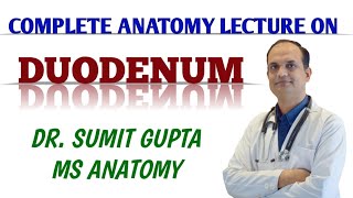 DUODENUM  COMPLETE ANATOMY LECTURE [upl. by Gayleen]