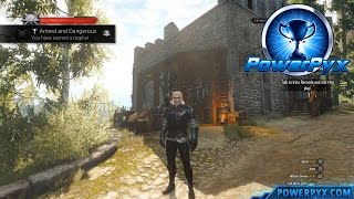 The Witcher 3 Wild Hunt  Griffin Witcher Gear Set Locations Armed and Dangerous Trophy [upl. by Gemini]