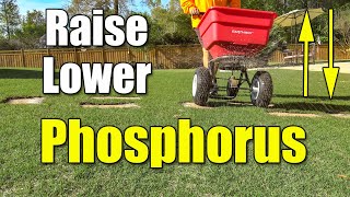 How to Lower or Raise Lawn Phosphorus [upl. by Drarej676]