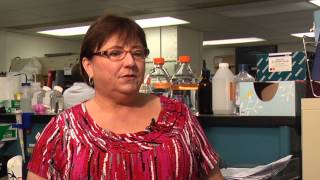 UT Veterinary Virologist Discusses Canine Distemper Virus [upl. by Ahseneuq268]