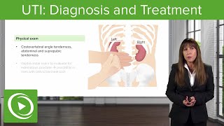 UTI Diagnosis and Treatment – Nephrology  Lecturio [upl. by Gardas731]