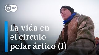 Una vuelta alrededor del Polo Norte  Parte 1  DW Documental [upl. by Mireielle]