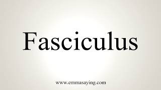 How To Pronounce Fasciculus [upl. by Riorsson713]