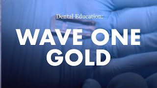 Endodontics Wave One Gold Demonstration [upl. by Leohcin]