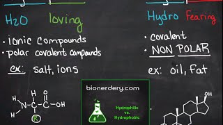 Hydrophilic vs Hydrophobic [upl. by Leinnad700]