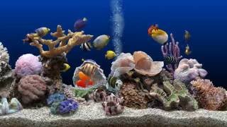 ★ Marine Aquarium ★ UHD Screensaver ★ Blue Ocean ★ 60fps ★ [upl. by Ahseia]