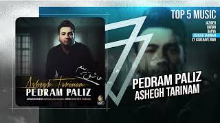 Pedram Paliz  Top 5 Singles  OFFICIAL TRACK [upl. by Falda130]