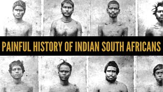 Indian South Africans The painful story of indentured labourers  African Biographics [upl. by Bosch]