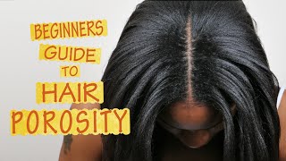 Hair Porosity 101  FOR BEGINNERS [upl. by Anurb938]