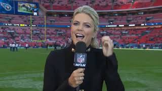 NFL Reporters Getting Hit Compilation [upl. by Ede676]