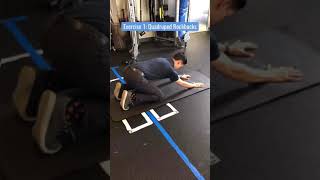 Serratus Anterior Strengthening [upl. by Kesia]