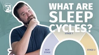 What Are Sleep Cycles  Everything You Need To Know [upl. by Summons]