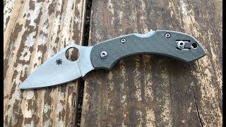 The Spyderco Dragonfly with G10 Scales A Quick Shabazz Review [upl. by Avat]