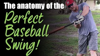 The 7 Steps to the Perfect Baseball Swing [upl. by Nalod]