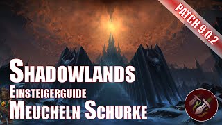 Shadowlands Meucheln Schurke Einsteigerguide World of Warcraft [upl. by Rossner43]