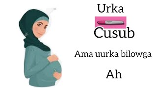 calamadaha uurka cusub Ama bilowga ah [upl. by Ahrens489]