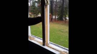 Removal Of Casement Window [upl. by Baggett]