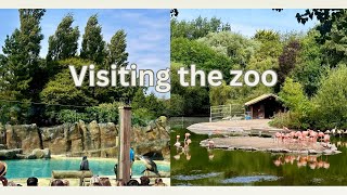 BLACKPOOL ZOO [upl. by Annasiul599]