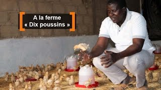 Burkina Faso  A la ferme « Dix poussins » [upl. by Stilwell]