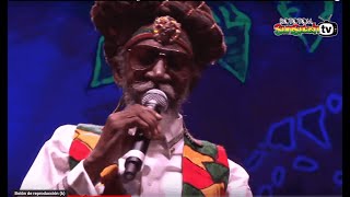 BUNNY WAILER amp The Solomonic Orchestra live  Main Stage 2015 [upl. by Werbel967]