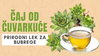 CAJ OD CUVARKUCE prirodni lek za bubrege [upl. by Luanni]