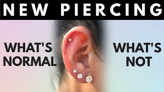 New Piercing Whats Normal Whats Not Things to Look Out For [upl. by Hnil]