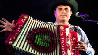 Los Tucanes De Tijuana Mix Corridos En Vivo [upl. by Roxanne607]