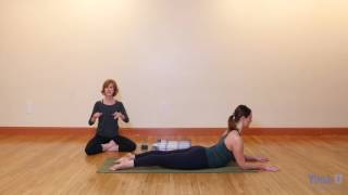 Yoga Pose Primer Sphinx Pose Tutorial with Natasha Rizopoulos [upl. by Sidnak]