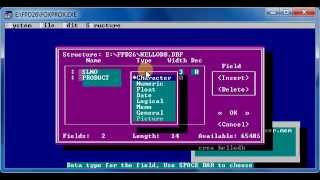 Foxpro Basic Commands [upl. by Lepp]