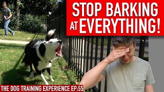 How to Train Your Dog to STOP BARKING at EVERYTHING That Moves [upl. by Hannad]