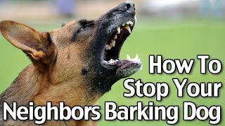 How To Stop Your Neighbor’s Dog From Barking  Short Version [upl. by Desdemona]